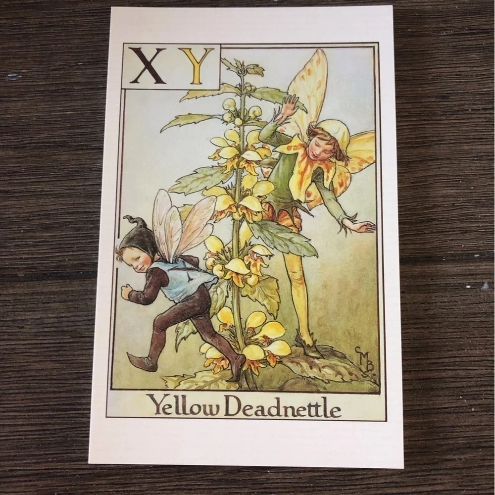 Garden Flower Fairies by: Cicely Mary Barker postcard set #13